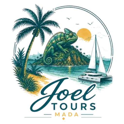 Joel Tours Mada