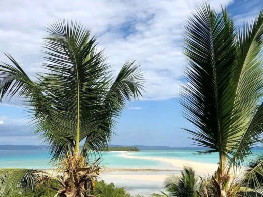 joel-tours-madagascar-excursions-NOSYBE-sud-p-130