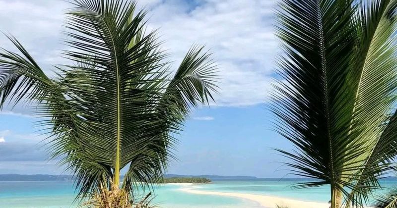 joel-tours-madagascar-excursions-NOSYBE-sud-p-130
