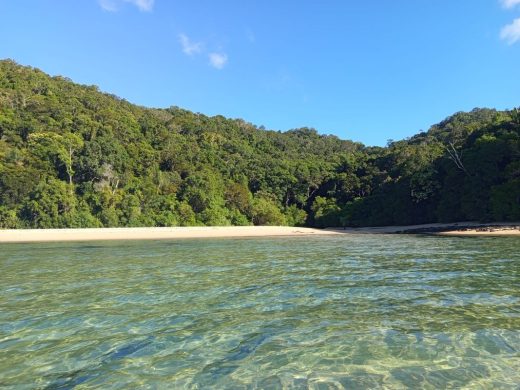 joel-tours-madagascar-excursions-NOSYBE-sud-p-56