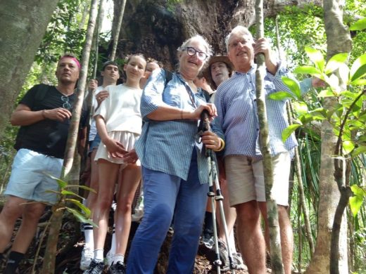 joel-tours-madagascar-excursions-NOSYBE-sud-p-83