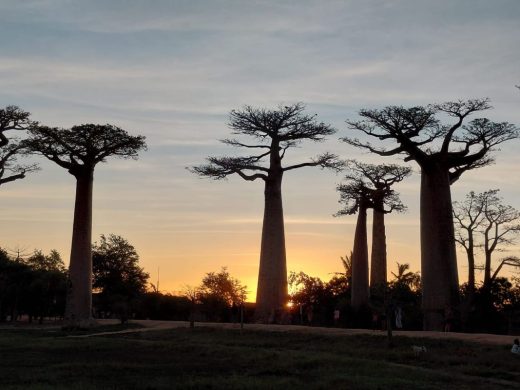 joel-tours-madagascar-excursions-circuits-p-08