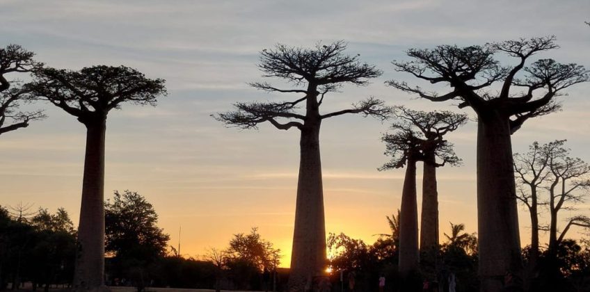 joel-tours-madagascar-excursions-circuits-p-08