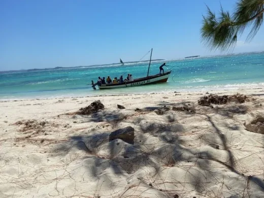 joel-tours-madagascar-excursions-circuits-sud-p-113
