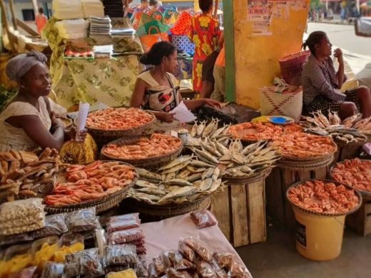 joel-tours-madagascar-excursions-ville-nosybe-terre-mer-iles-p-113
