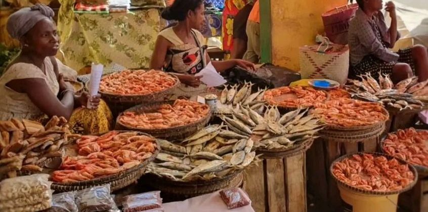 joel-tours-madagascar-excursions-ville-nosybe-terre-mer-iles-p-113