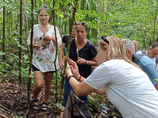 joel-tours-madagascar-excursions-ville-nosybe-terre-mer-iles-p-114