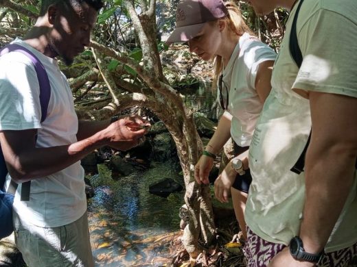 joel-tours-madagascar-excursions-ville-nosybe-terre-mer-iles-p-137