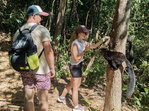 joel-tours-madagascar-excursions-ville-nosybe-terre-mer-iles-p-138