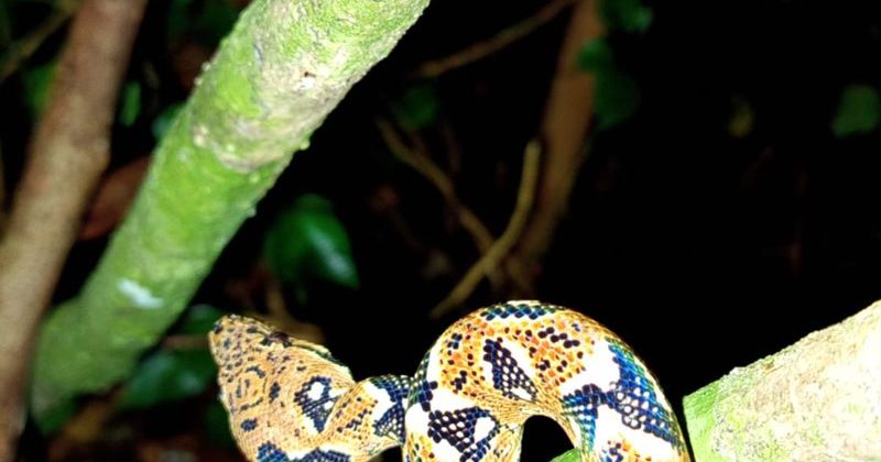 joel-tours-madagascar-excursions-ville-nosybe-terre-mer-iles-p-45
